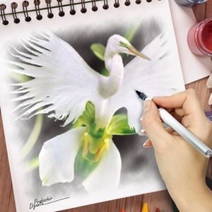 Meet your Posher, Gemma